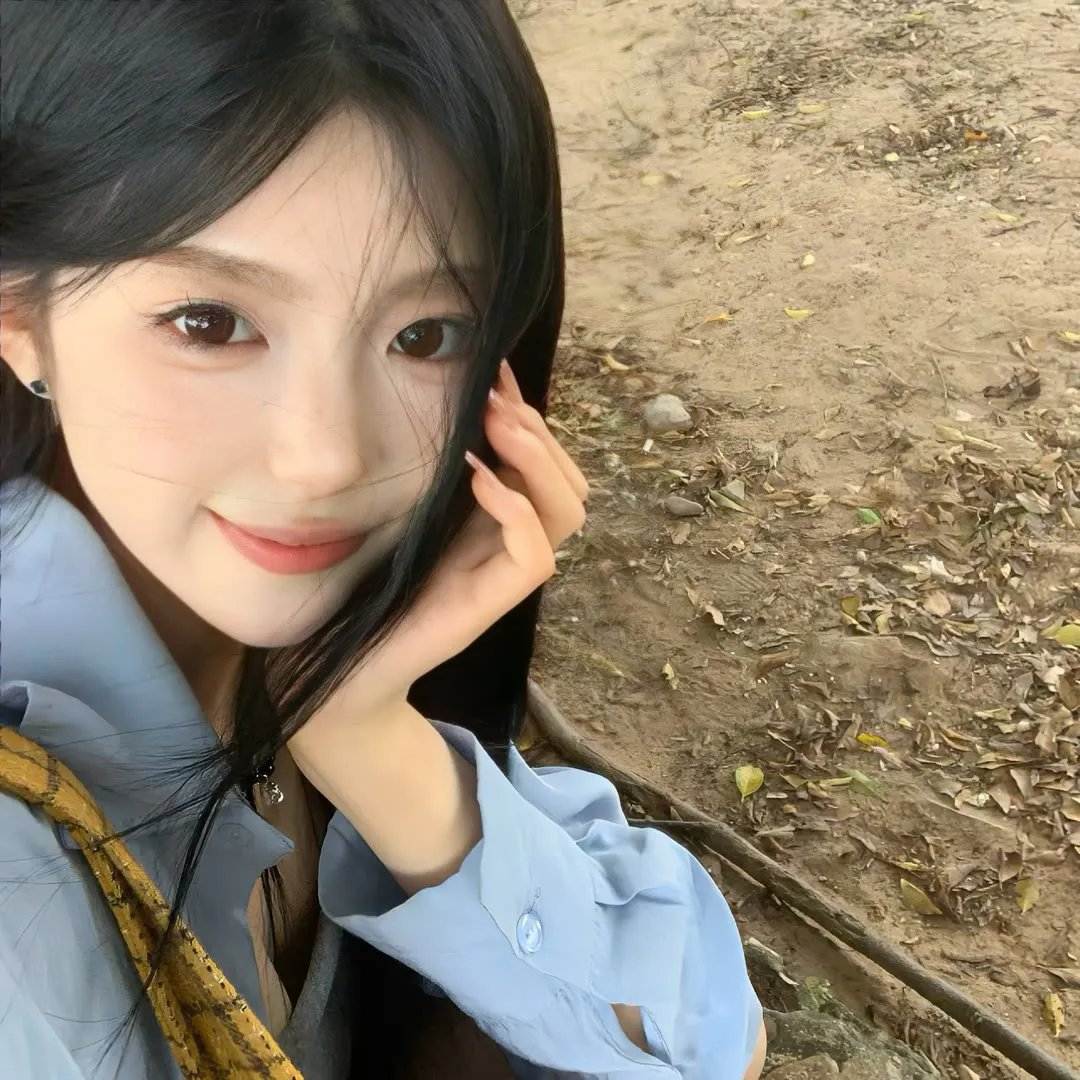 白粉飞 第五季